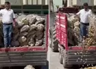 İzahı yok ki mizahı var