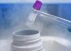 Genç yaşta sperm dondurmak mantıklı mı?