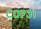 COP31: Türkiye’nin en pahalı vitrini mi, dönüşüm fırsatı mı?
