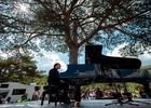  Chopin’i, Beethoven’i dinleyen ağaç, su, hava.