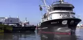 Akçakoca'dan Türkiye'ye 2 Bin 800 Ton Hamsi Gönderildi