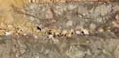 Siirt'teki Maden Faciasında Son İşçinin de Cesedine Ulaşıldı