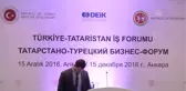 Türkiye-Tataristan Iş Forumu