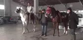 Elektrik Arızalarına Atlı Müdahale (1)