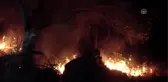 Zeytinlik Alanda Yangın Çıktı