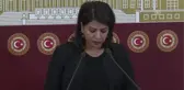 Hdp Diyarbakır Milletvekili Yiğitalp