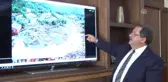 Aa'nın 