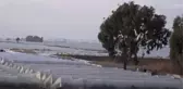 Mersin'de Sel Felaketinin İzleri Silinmeye Çalışılıyor
