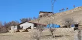 Ev Bulamayan Şırnaklı Aile Ahıra Yerleşti