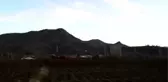 Sason'da Tütün Üretimi Yeniden Canlanıyor