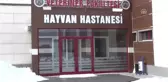 Hayvanlar Için 