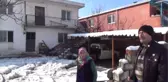 Iki Evin Üstüne Elektrik Hattı Düştü