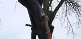 Ağaç Arasına Sıkışan Adam, Feci Şekilde Can Verdi!