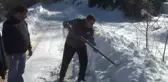 Tedavi Edilen Karacalar Doğaya Salındı