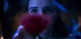 Güzel ve Çirkin'den  Beklenen Fragmandan Sonra Film Kareleri Geldi!