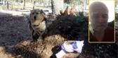Ölen Sahibini Unutamayan Köpek, Her Gün Mezarlığı Ziyaret Ediyor