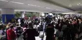 ABD'de Havalimanlarında Trump Karşıtı Gösteriler