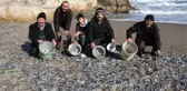 Soğuktan Tonlarca İstavrit Şoka Girip Sahile Vurdu