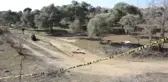 Zeytinlik Alanda Erkek Cesedi Bulundu