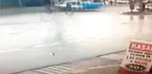 Yolun Karşısına Geçmeye Çalışan Yayaya Hızla Gelen Kamyonet Çarptı