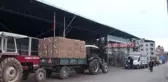 Tütün Baş Fiyatı Çiftçinin Yüzünü Güldürdü