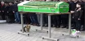 Ölen Sahibini Her Gün Ziyaret Eden Sadık Dost