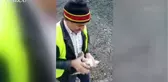 Belediye İşçisi Yaralı Martıya Yardım Elini Uzattı