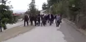 Dünya Sigara Bırakma Günü