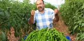 Kumluca Biber Üreticilerinden Zirai Ilaç Tepkisi