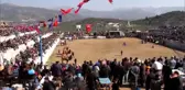 Deve Güreşi Festivali