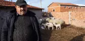 Dolandırıcılara Kanan Köylüler, Bine Yakın Küçükbaş Hayvanından Oldu