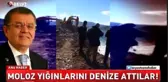 Bodrum'da Doğa Katliamı