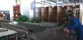 Dün 10 Tl. Bugün 5 Tl. Çiçek Mezatları Gülsüz Kapandı