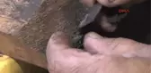 Erzurum 72 Yıldır Oltu Taşına Hayat Veriyor