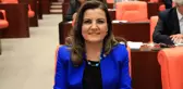 CHP, Üyelik İçin Kocaeli Milletvekili Hürriyet'i Aday Gösterdi