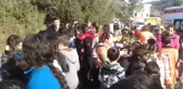 Bodrum'da Yanan Ormanlık Alana Fidan Dikildi