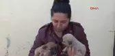Denizli - Çocuğu Olmayınca Sokak Hayvanlarının Annesi Oldu