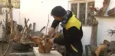 Sakarya Ağaç Köklerini Ev Eşyasına Dönüştürüyor
