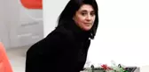 HDP'li Zana Hakkında 3 Ayrı Suçtan 20 Yıla Kadar Hapis İstemi