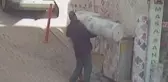 Halıyı Önce Okşadı, Sonra Çaldı