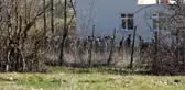Samsun'da Komşular Arasında 'Kaz' Kavgası: 2 Ölü, 1 Yaralı