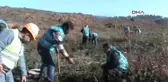Hükümlüler Fidan Dikti