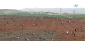 Suriyeli Çocuklar Sığındığı Topraklarda Ağaç Dikti- 500 Suriyeli Öğrenci 2 Bin Fidan Dikti-...