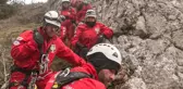 Hamile Keçi 3 Saatlik Operasyonla Kurtarıldı