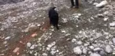 Güvenlik Güçleri Lice ve Genç'te Teröristlere Göz Açtırmadı