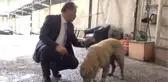 Yaralı Köpeğin Hayatını Belediye Başkanı Kurtardı