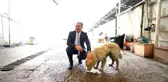 Yaralı Köpeğin Hayatını Malatya Belediye Başkanı Kurtardı
