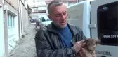 Yaralı ve Hasta Köpekler Tedavi İçin Eskişehir'e Gönderildi