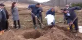 Fındık Üreticisi Cevizle Kazancını Ikiye Katlayacak