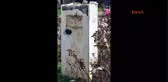 Diyarbakır'da Ahmet Arif'in Büstüne Saldırı
